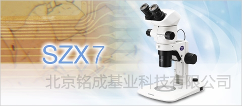 体视荧光显微镜SZX7-4122RFL-2 | 体视荧光显微镜SZX7-4122RFL-2价格参数